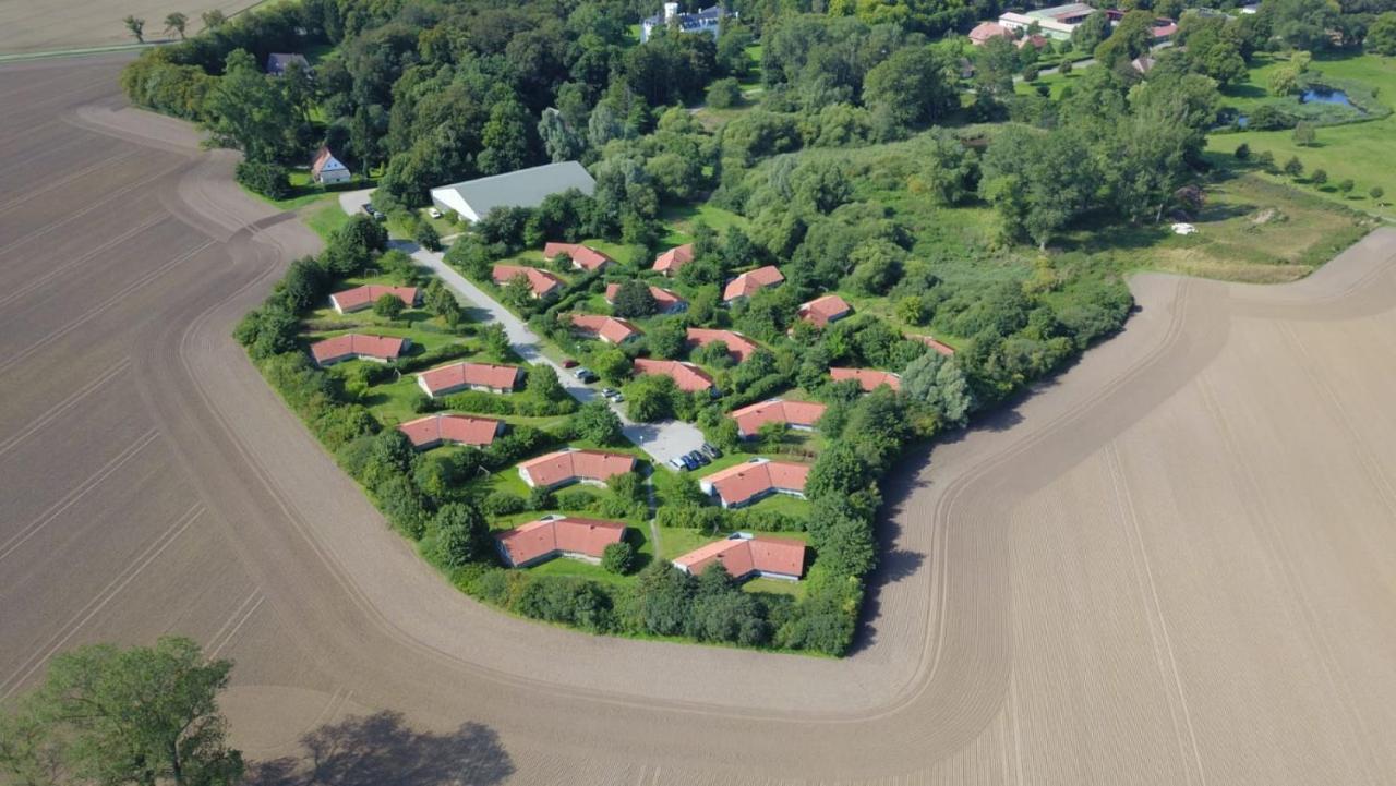 Kranich Poolferienhaus Villa Hohendorf  Exterior photo
